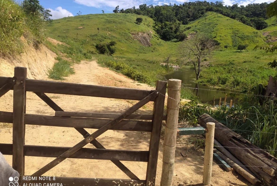 Fazenda em Ecoporanga