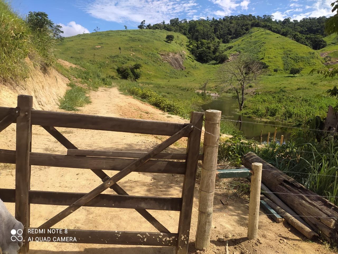Fazenda em Ecoporanga