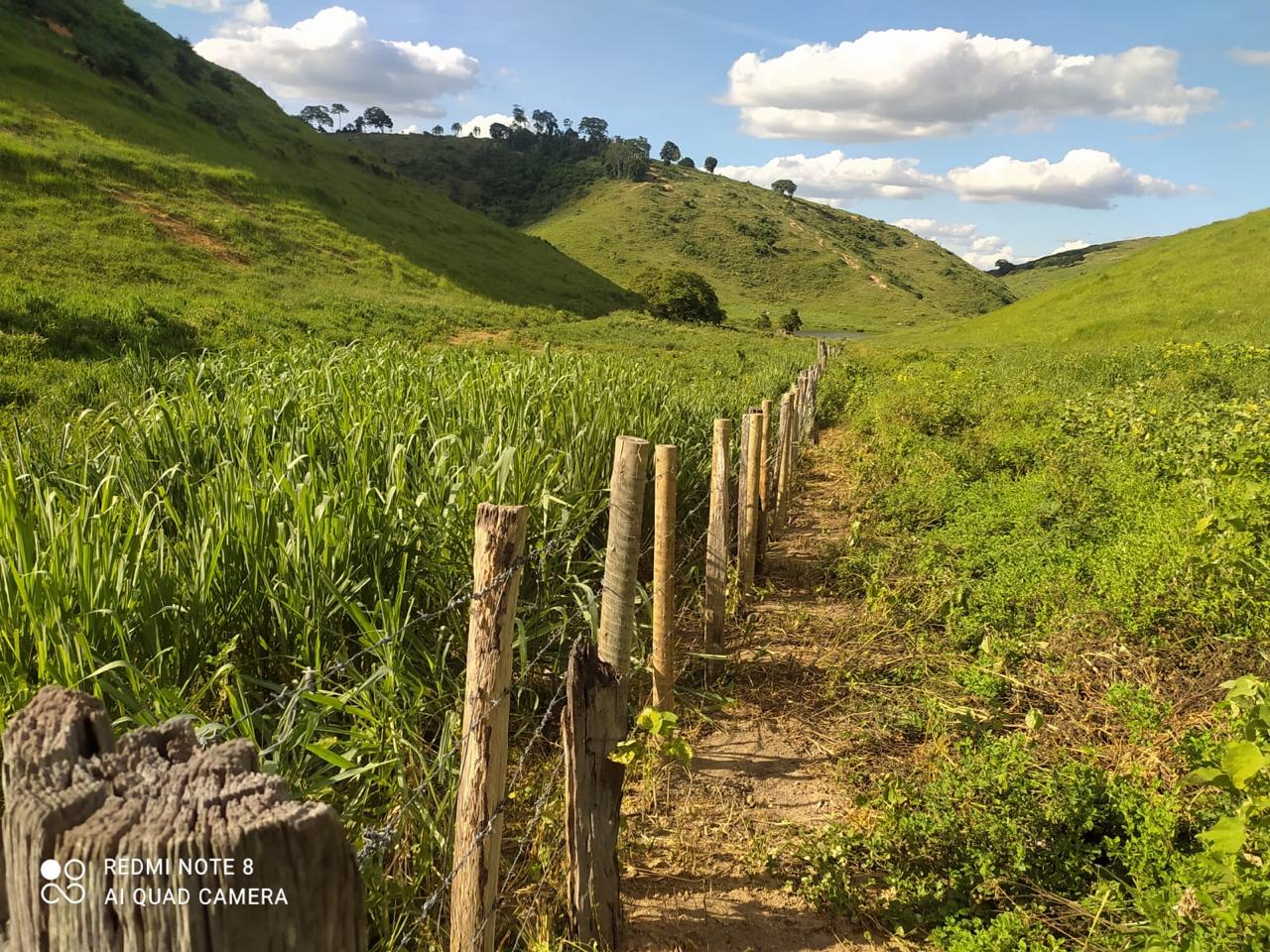 Fazenda em Ecoporanga